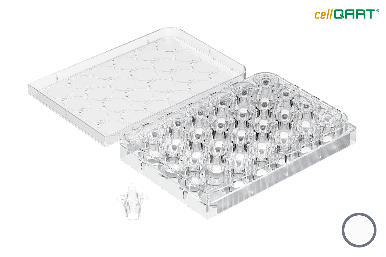 24-Well-WPFP-Translucent_transaprent-web 24 well plate translucent